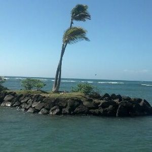 Meet your Posher, Anne